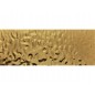 FSL Folie SL OCEAN Gold 2600x1000x6,3 mm SA
